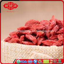 Dried goji berries recipes goji berries side effects of steroids dried goji berries health benefits